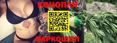 крисы Дубна