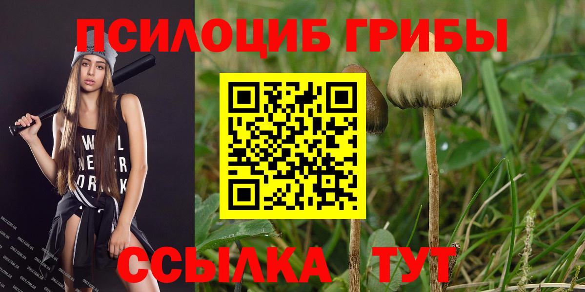 Мурманск  Галлюциногенные грибы Magic Shrooms  Вход с VPN 